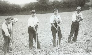 Victorian Farmers